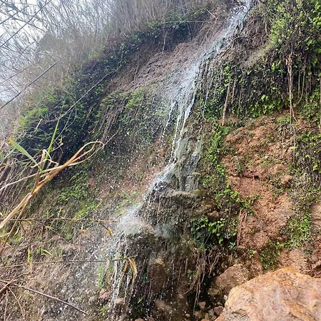 Kabak Hideway 1 فيلة *